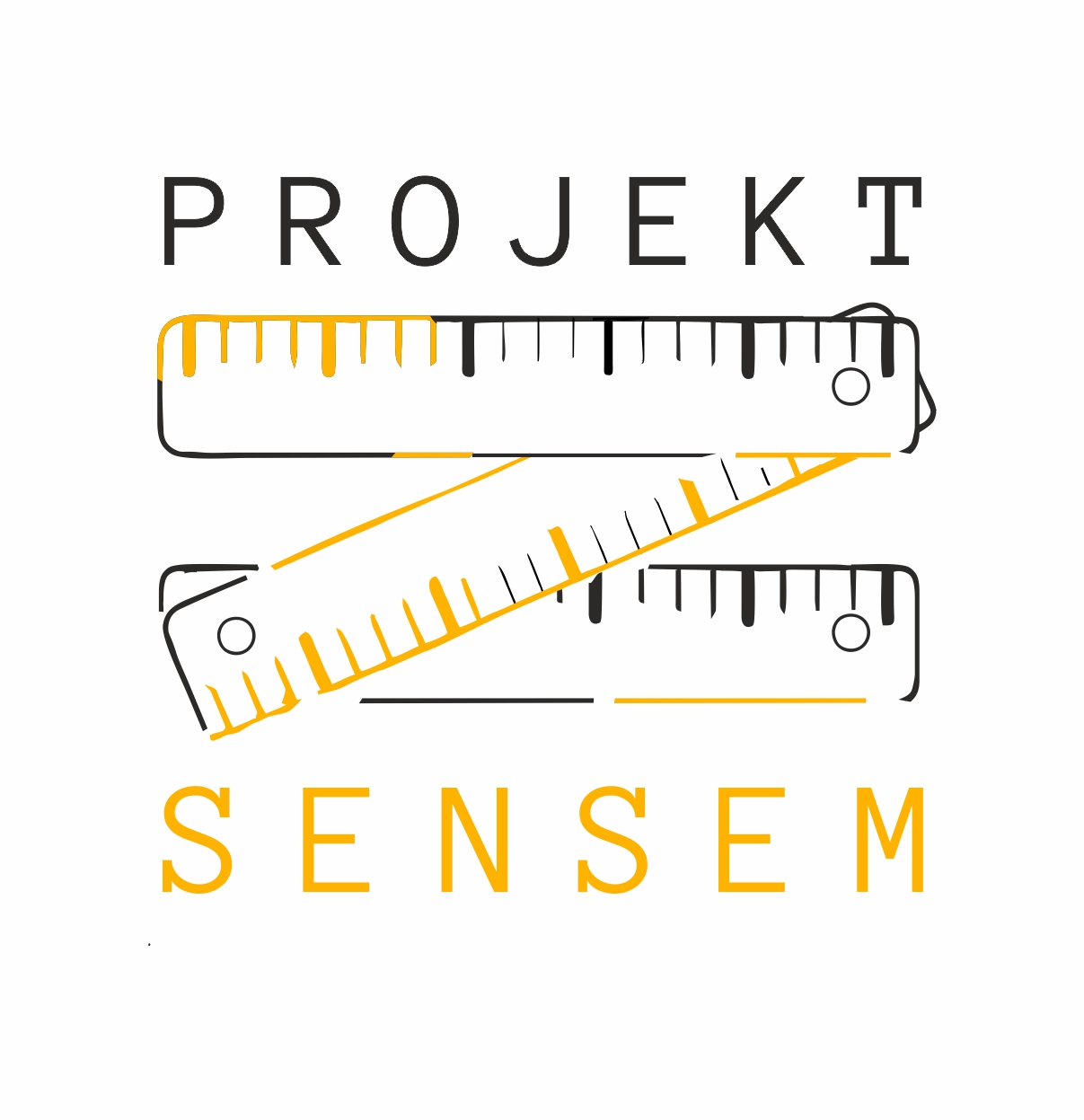 ProjektZSensem